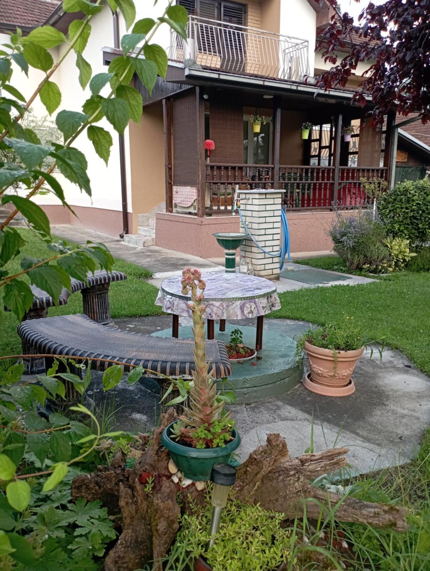 Kuca Za Odmor Zicanka Kraljevo Exteriör bild