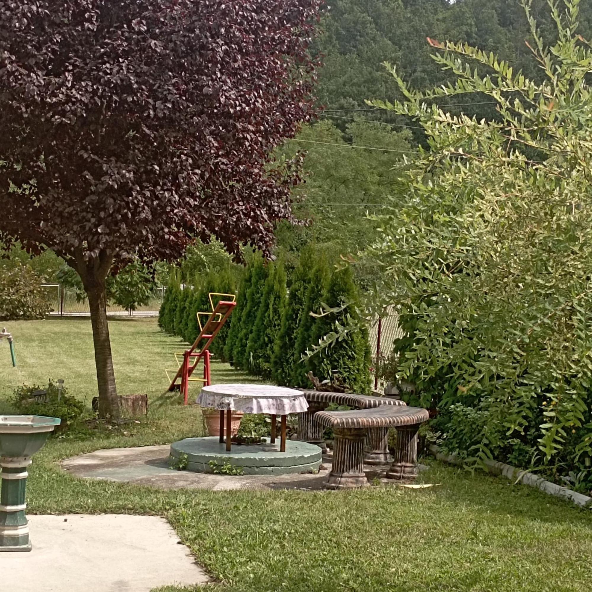 Kuca Za Odmor Zicanka Kraljevo Exteriör bild