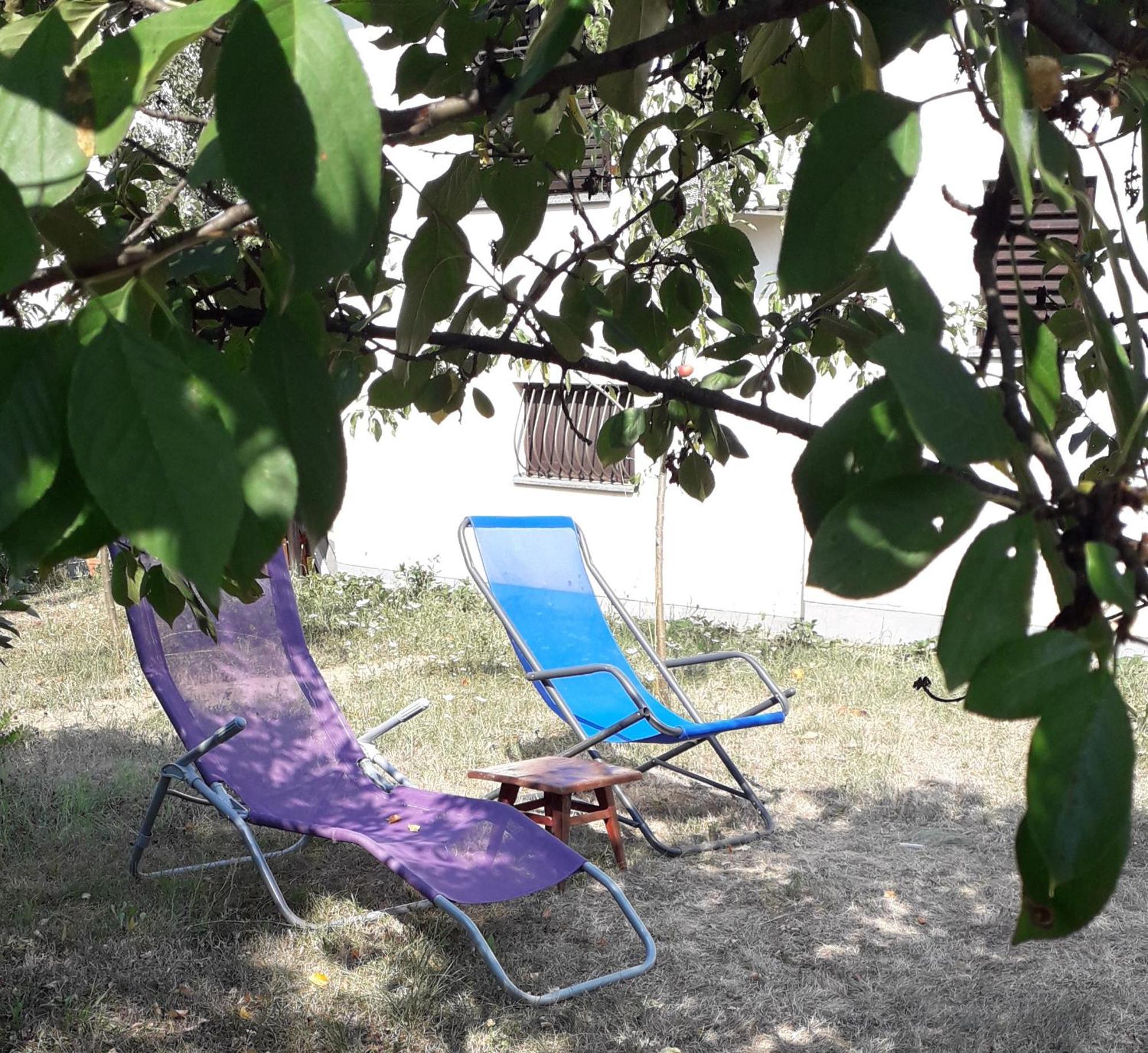 Kuca Za Odmor Zicanka Kraljevo Exteriör bild