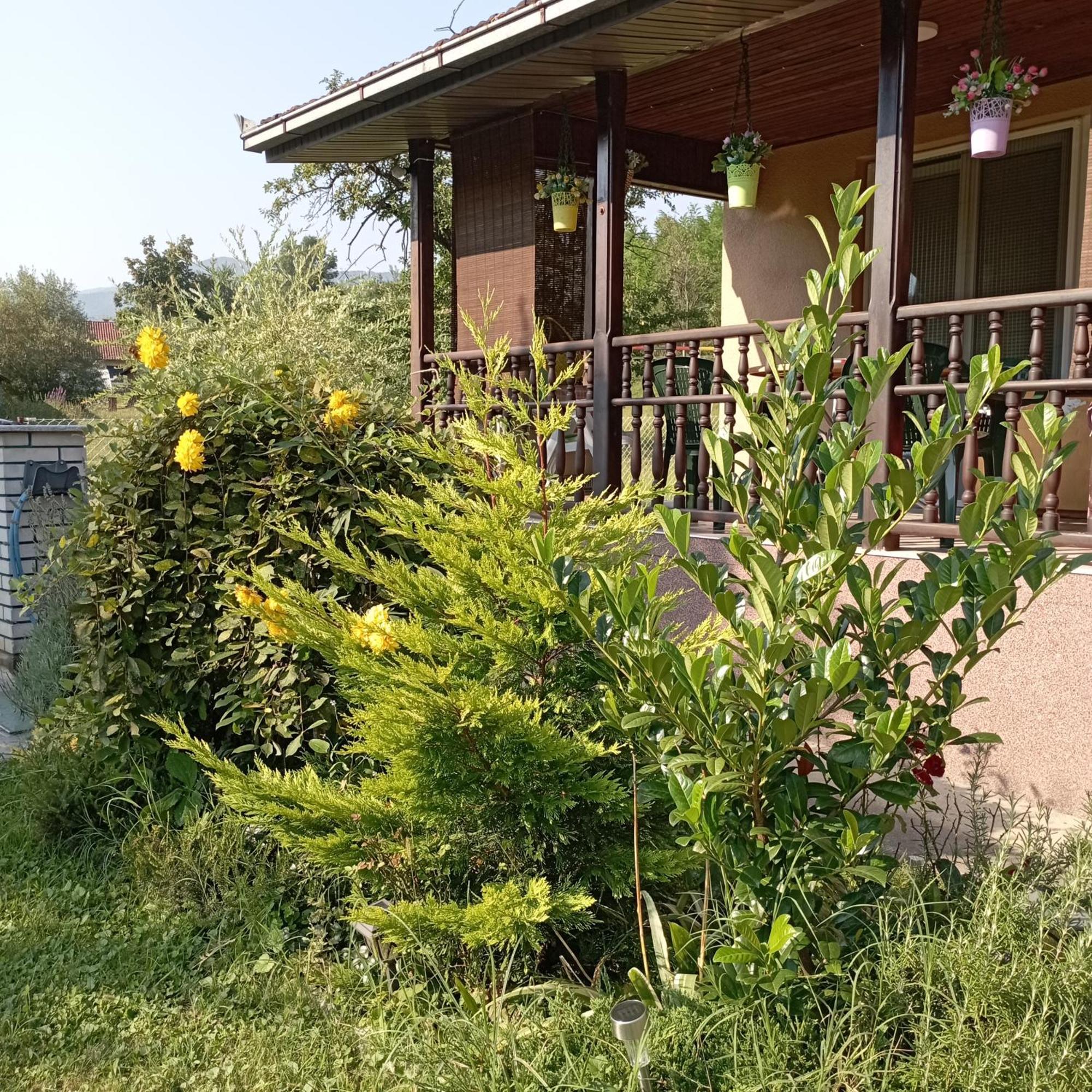 Kuca Za Odmor Zicanka Kraljevo Exteriör bild