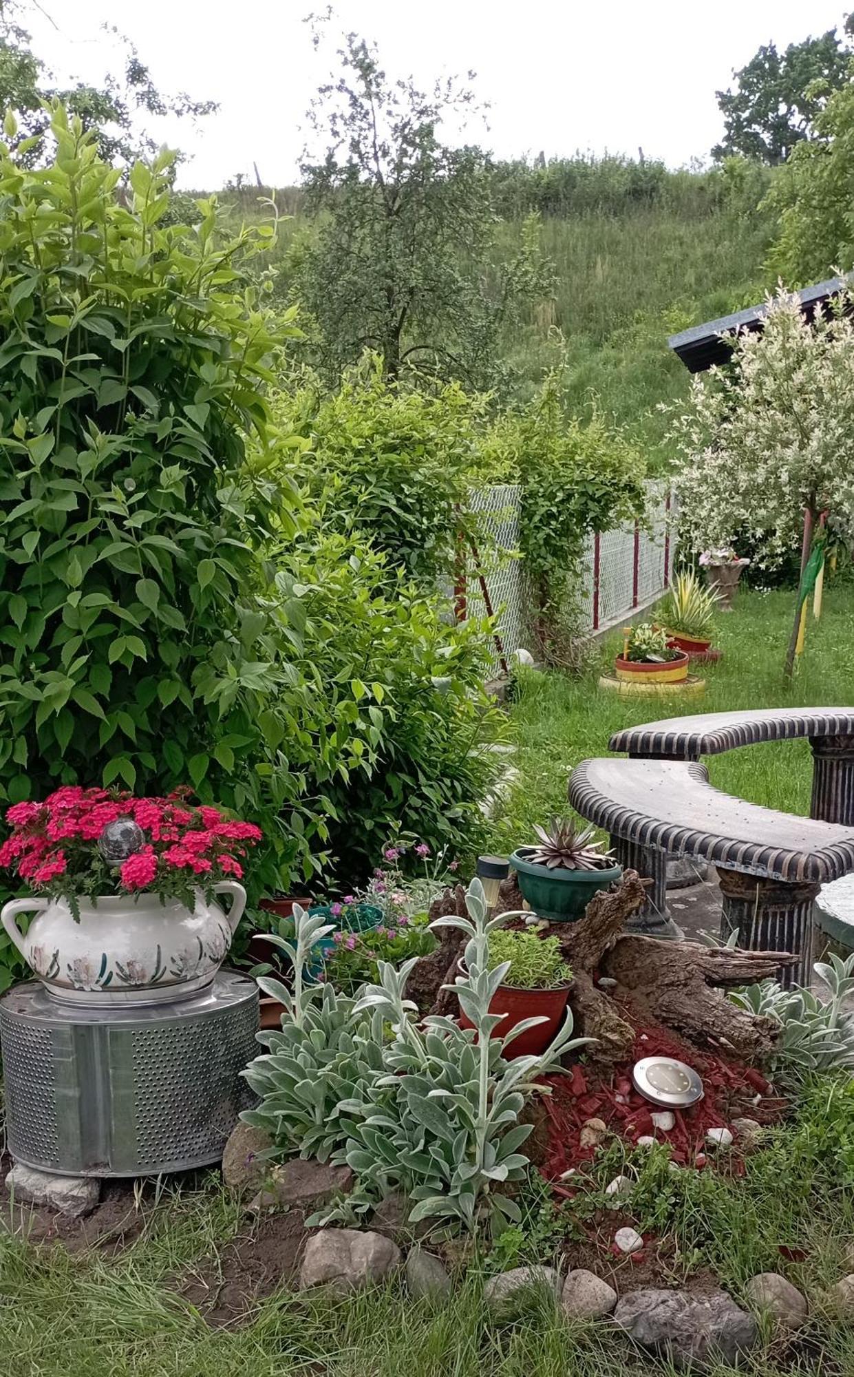 Kuca Za Odmor Zicanka Kraljevo Exteriör bild