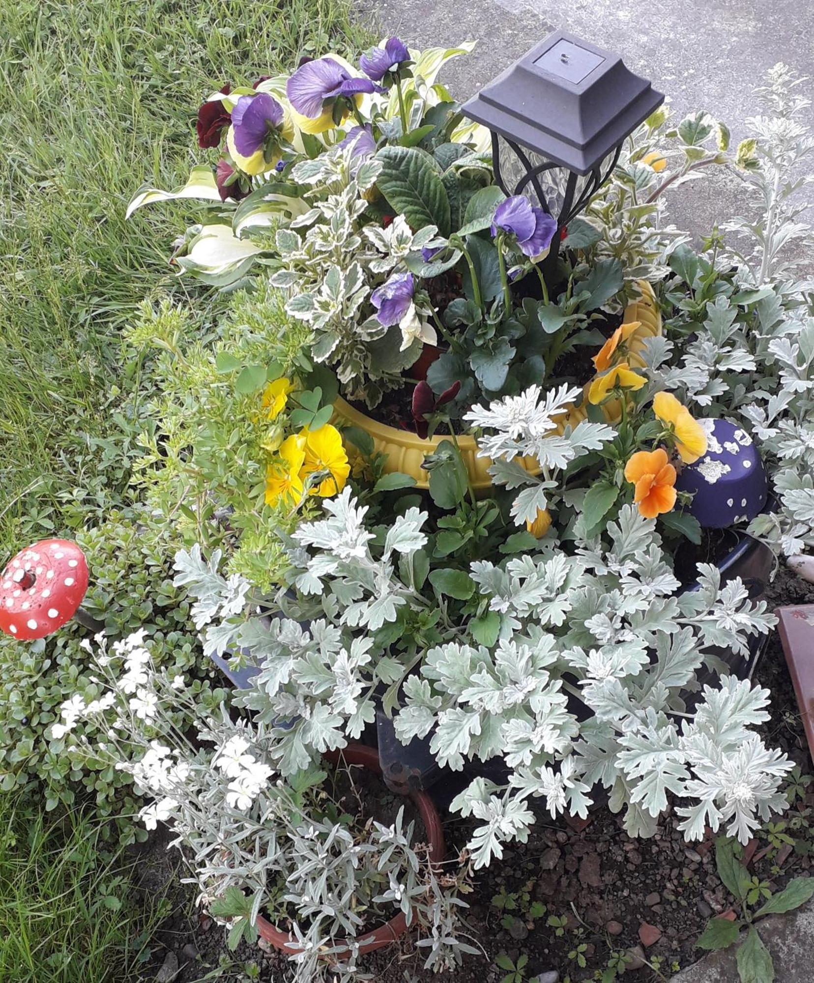 Kuca Za Odmor Zicanka Kraljevo Exteriör bild