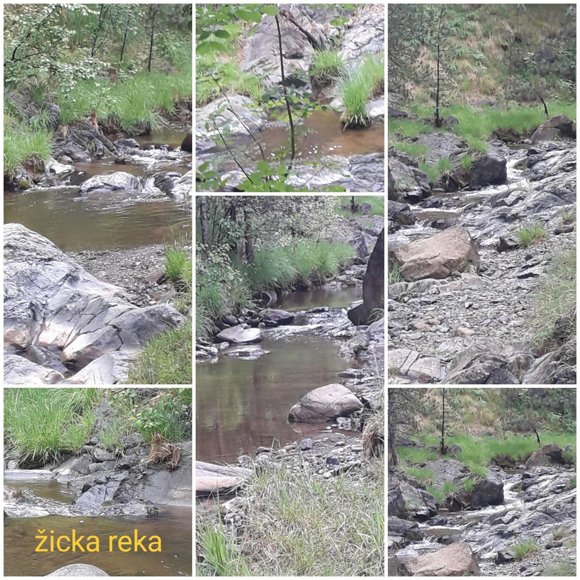Kuca Za Odmor Zicanka Kraljevo Exteriör bild